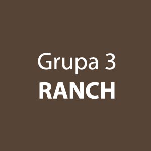 Tkanina gr. 3 Ranch